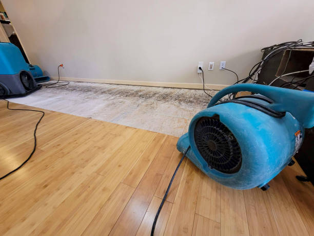 Professional Flood Damage Cleanup technician working in Jasper, TN